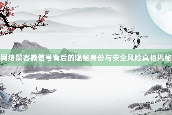 网络黑客微信号背后的隐秘身份与安全风险真相揭秘