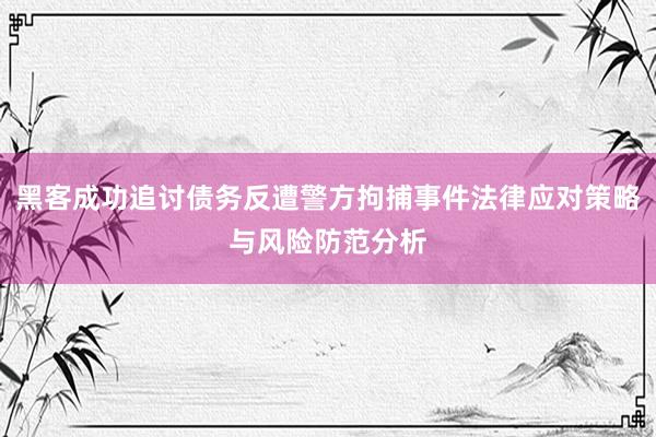 黑客成功追讨债务反遭警方拘捕事件法律应对策略与风险防范分析