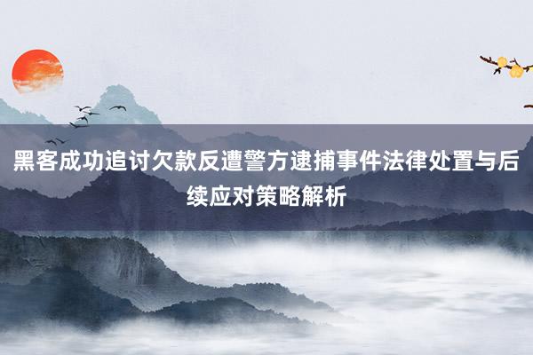 黑客成功追讨欠款反遭警方逮捕事件法律处置与后续应对策略解析