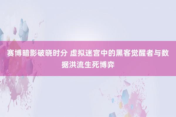 赛博暗影破晓时分 虚拟迷宫中的黑客觉醒者与数据洪流生死博弈